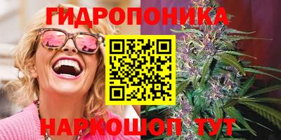 шишки Татарск