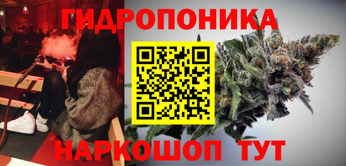 Шишки марихуана сатива Орехово-Зуево
